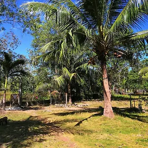 Walkerz Hostal