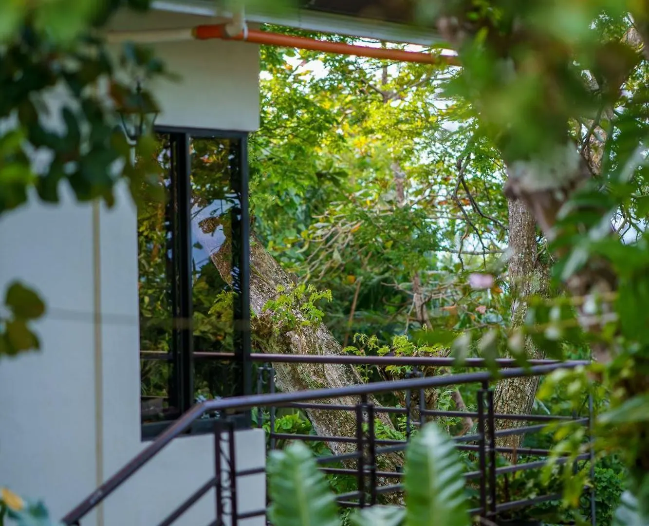 Сasa de vacaciones Oceanside 2 Bedroom House, 100Mbps Wifi Panglao Filipinas