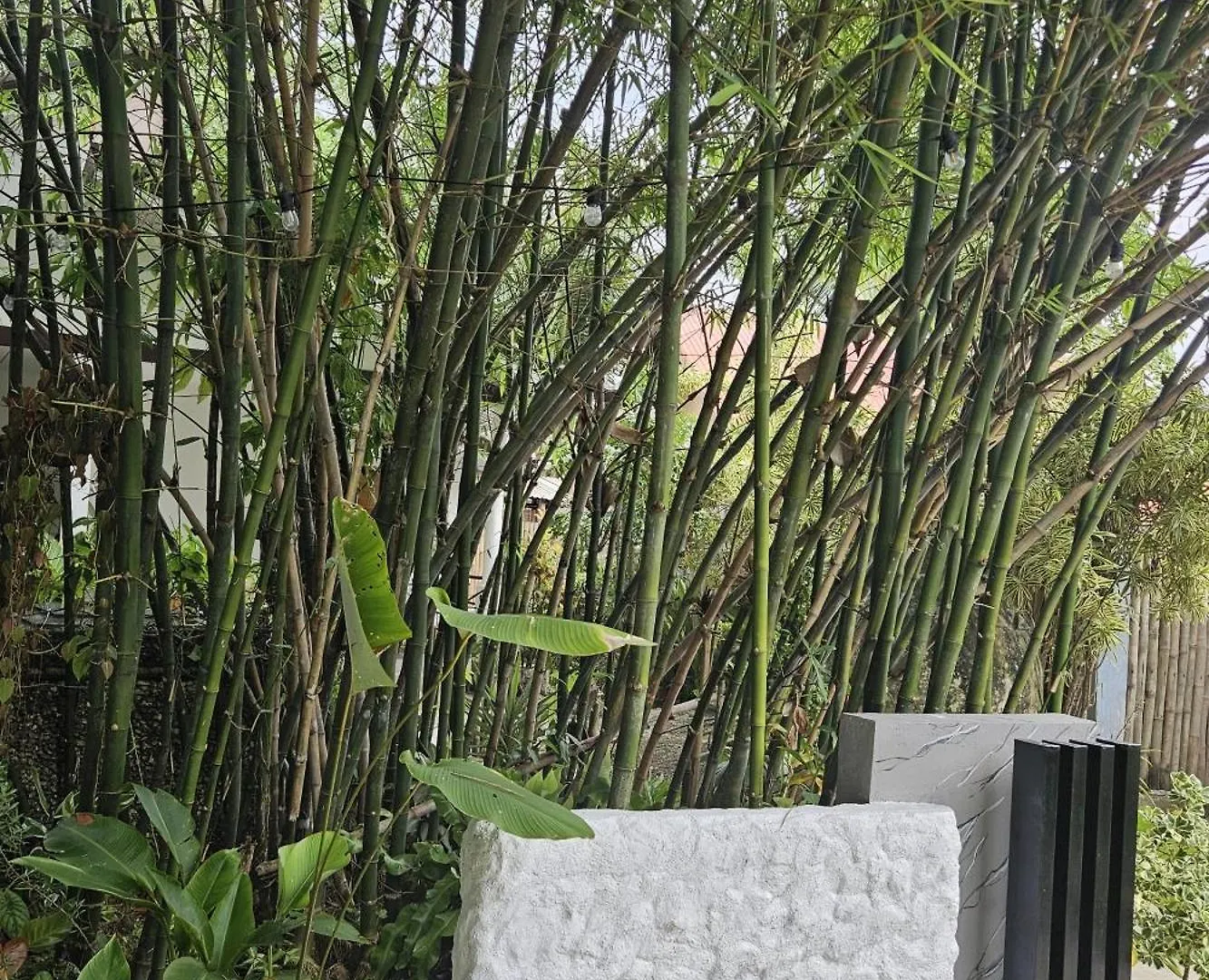 Сasa de vacaciones Oceanside 2 Bedroom House, 100Mbps Wifi Panglao