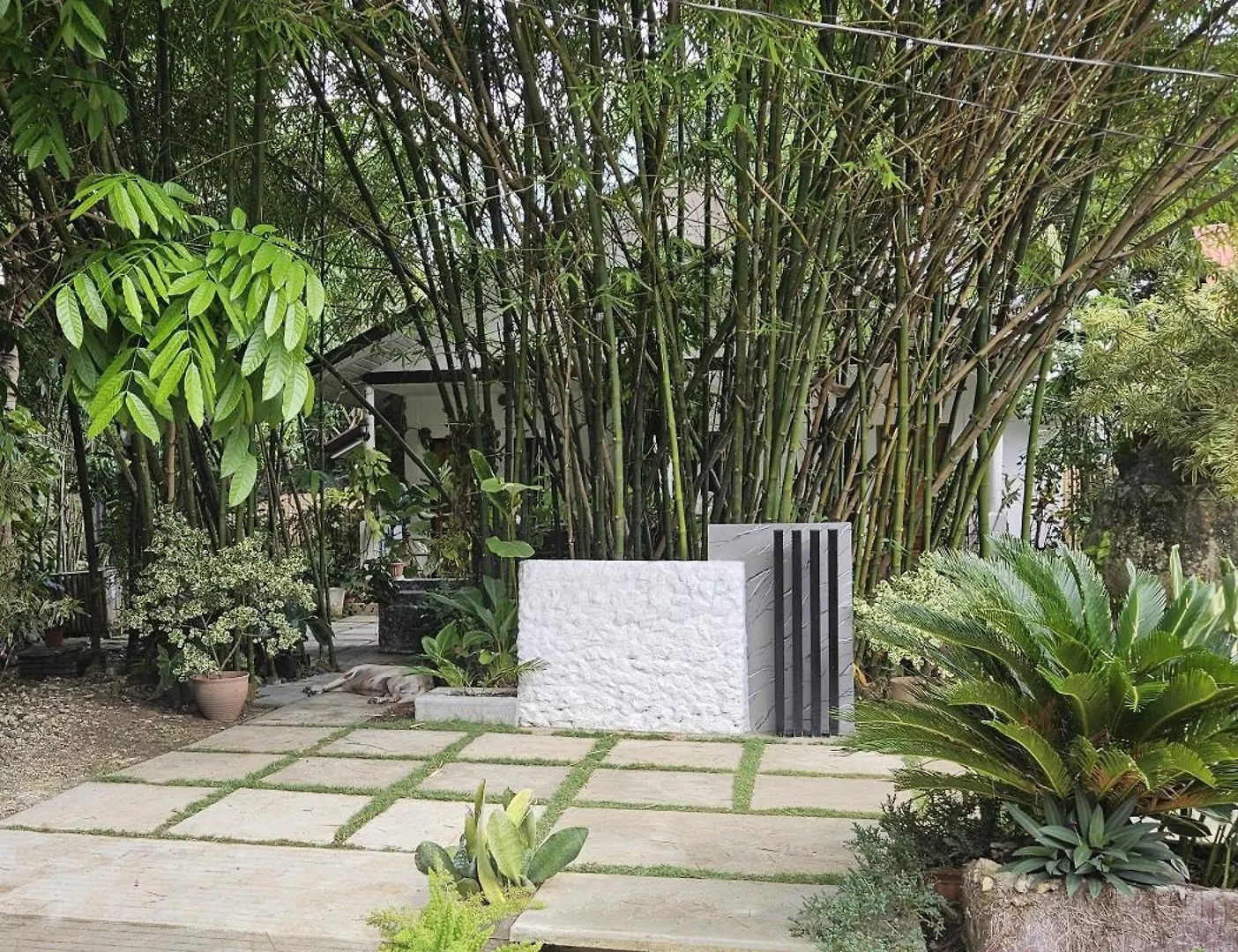 Oceanside 2 Bedroom House, 100Mbps Wifi Panglao